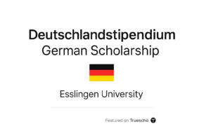 Deutschlandstipendium German Scholarships